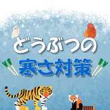 動物情報館ZooLab「どうしているのかな？どうぶつたちの寒さ対策」