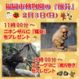2月3日は「節分」！動物たちに恵方巻や福豆をプレゼント！
