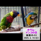 「オウム・インコの日」特別ガイドを開催します