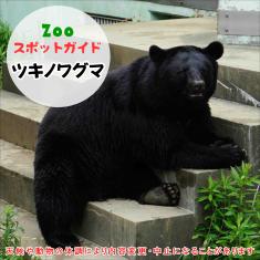 飼育員によるZOOスポットガイド。 当園に暮らす動物たちのお話を中心に、生態やエサについて担当飼育員が楽しくご紹介します。