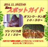 2014年11月16日(日)のスポットガイド