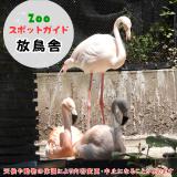 10月11日は放鳥舎
