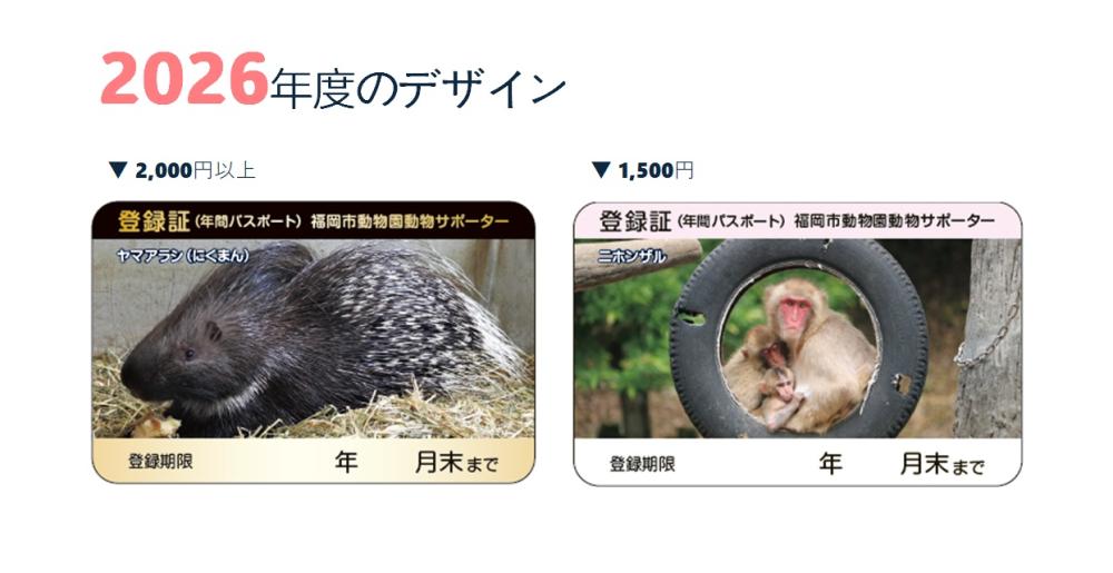 動物サポーター登録証2026年度デザイン（1,500円ニホンザル、2,000円以上ヤマアラシ）
