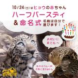 ヒョウの赤ちゃんハーフバースデイ＆命名式