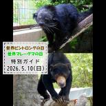 「世界ビントロングの日」「世界マレーグマの日」特別ガイドを開催します