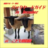 サポーターズデイ『12月のバックヤードガイド』