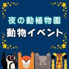 「夜の動植物園」動物イベント（7/30 追記あり）