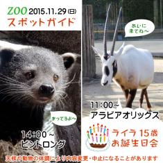 2015年11月29日(日)のスポットガイドは11：00からアラビアオリックス，14：00からビントロング