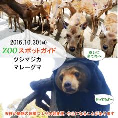 2016年10月30日(日)は10時からツシマジカ，11時からマレーグマです。どなたでも参加できます。開始時刻に獣舎前にお集まりください。※天候不良や動物の体調により内容を予告なく変更・中止することがあります。あらかじめご了承ください。※天候不良や動物の体調により内容を予告なく変更・中止することがあります。あらかじめご了承ください。※天候不良や動物の体調により内容を予告なく変更・中止することがあります。あらかじめご了承ください。※天候不良や動物の体調により内容を予告なく変更・中止することがあります。あらか