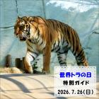 「世界トラの日」特別ガイドを開催します