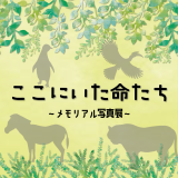 動物情報館ZooLab「ここにいた命たち」
