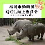（事前申込受付中）動物情報館ZooLab「福岡市動物園QOL向上委員会～ミナミシロサイ編～」【先着順】