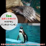 2月11日はヤマアラシとフンボルトペンギン