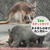 12月11日はミナミシロサイとカンガルー