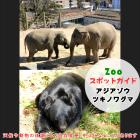 4月5日はアジアゾウとツキノワグマ