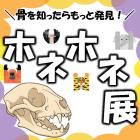 動物情報館ZooLab「＼骨を知ったらもっと発見！／ホネホネ展」