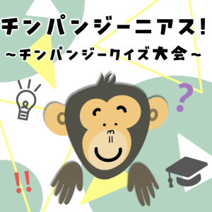 チンパンジーニアス！チンパンジークイズ大会のサムネイル画像