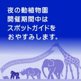 スポットガイドお休みのお知らせ
