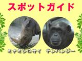2014年7月13日(日)のスポットガイド