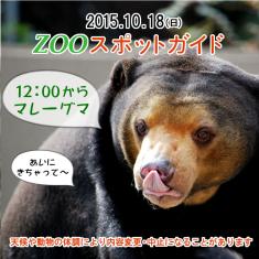 2015年5月17日(日)のスポットガイドは14：00からマレーグマ