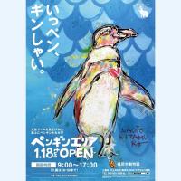 １月18日にペンギンエリアがオープンします！