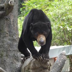 動物サポーター限定企画＜バックヤードガイド＞