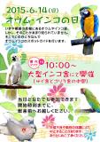 6月14日（日）オウム・インコの日特別ガイド開催します。