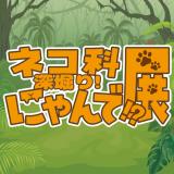 動物情報館ZooLab「ネコ科深堀り！にゃんで!?展」