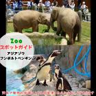 6月7日はアジアゾウとフンボルトペンギン