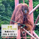 「国際オランウータンの日」特別ガイドを開催します