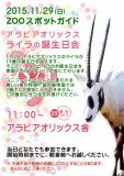 アラビアオリックス「ライラ」の誕生日会