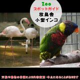 10月12日は放鳥舎と小型インコ