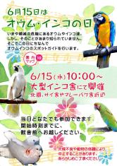 6/15のオウム・インコ デーにちなんで，15日（日）に大型インコ舎にてオウム・インコのスポットガイドを開催します。日時 ： 2016年6月15日（水）10時00分～  場所 ： 北園・大型インコ舎