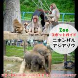 10月5日はニホンザルとアジアゾウ
