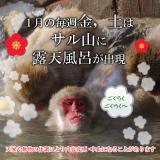 サル山に露天風呂が出現！