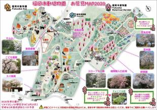 福岡市動植物園「お花見マップ2020」
