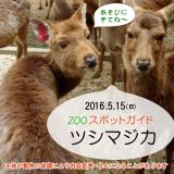 2016年5月15日(日)のスポットガイド