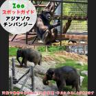 11月9日はアジアゾウとチンパンジー