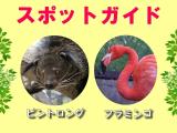 2014年7月21日(祝・月)のスポットガイド