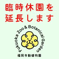 臨時休園延長のお知らせ