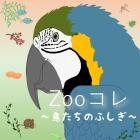 福岡市動物園コレクション～鳥たちのふしぎ～　（※6/19追記）