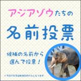 アジアゾウ４頭の名前投票（決選投票）を実施します。【10/12（土）～27（日）】