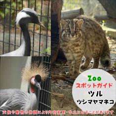 飼育員によるZOOスポットガイド。 当園に暮らす動物たちのお話を中心に、生態やエサについて担当飼育員が楽しくご紹介します。