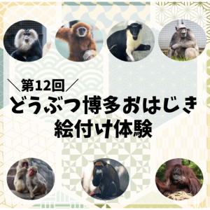 第12回どうぶつ博多おはじき絵付け体験サムネイル画像