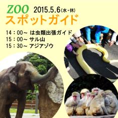 2015年5月6日(水・振休)のスポットガイドは14：00～神出鬼没，は虫類出張ガイド ，15：00～サル山，15：30～アジアゾウ