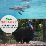 7月7日はフンボルトペンギンとヒクイドリ・エミュー