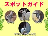 2014年7月6日(日)のスポットガイド