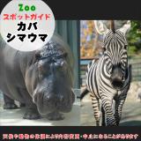 3月21日はカバとシマウマ