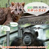 2015年10月25日(日)のスポットガイド