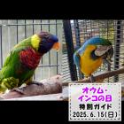 「オウム・インコの日」特別ガイドを開催します